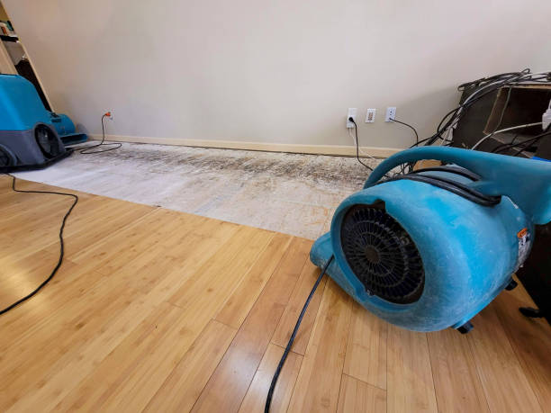 Professional Water Damage Repair technician working in Camp Dennison, OH